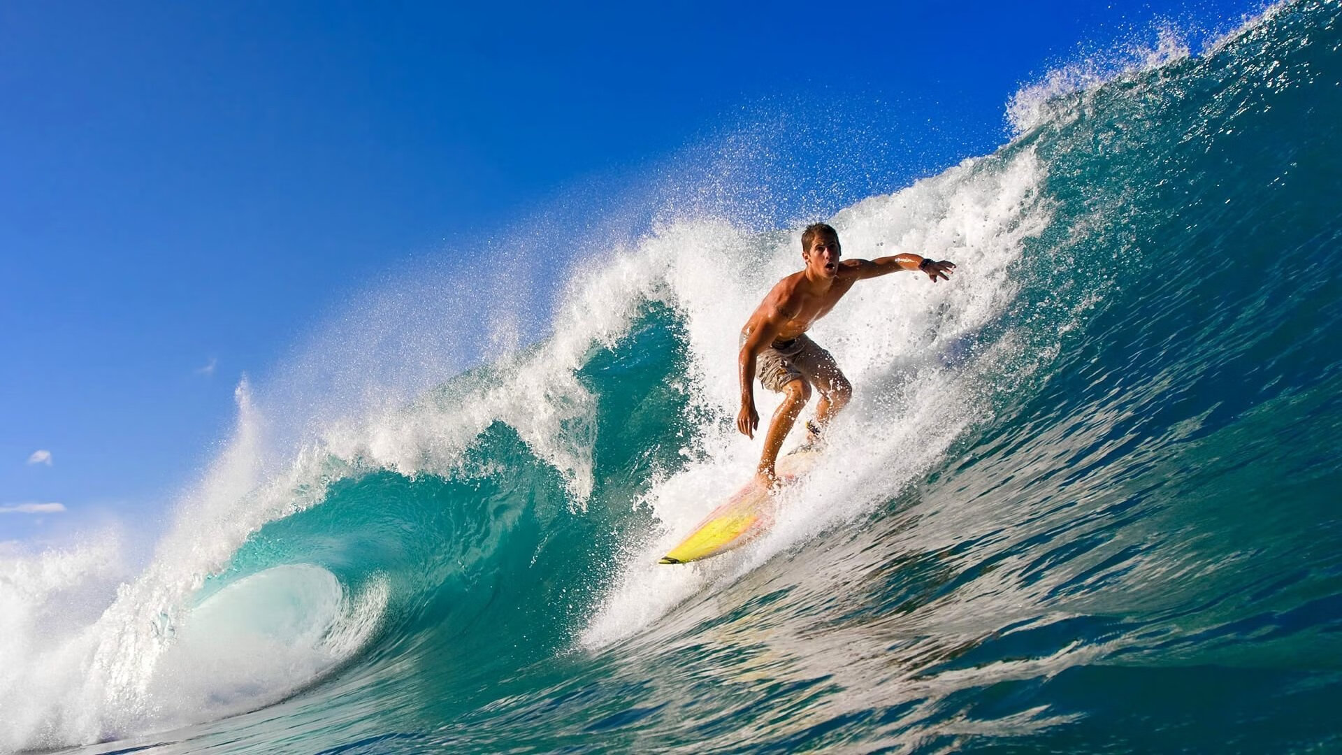 WEC维修团队提升轮胎更换效率，整体协作性更强