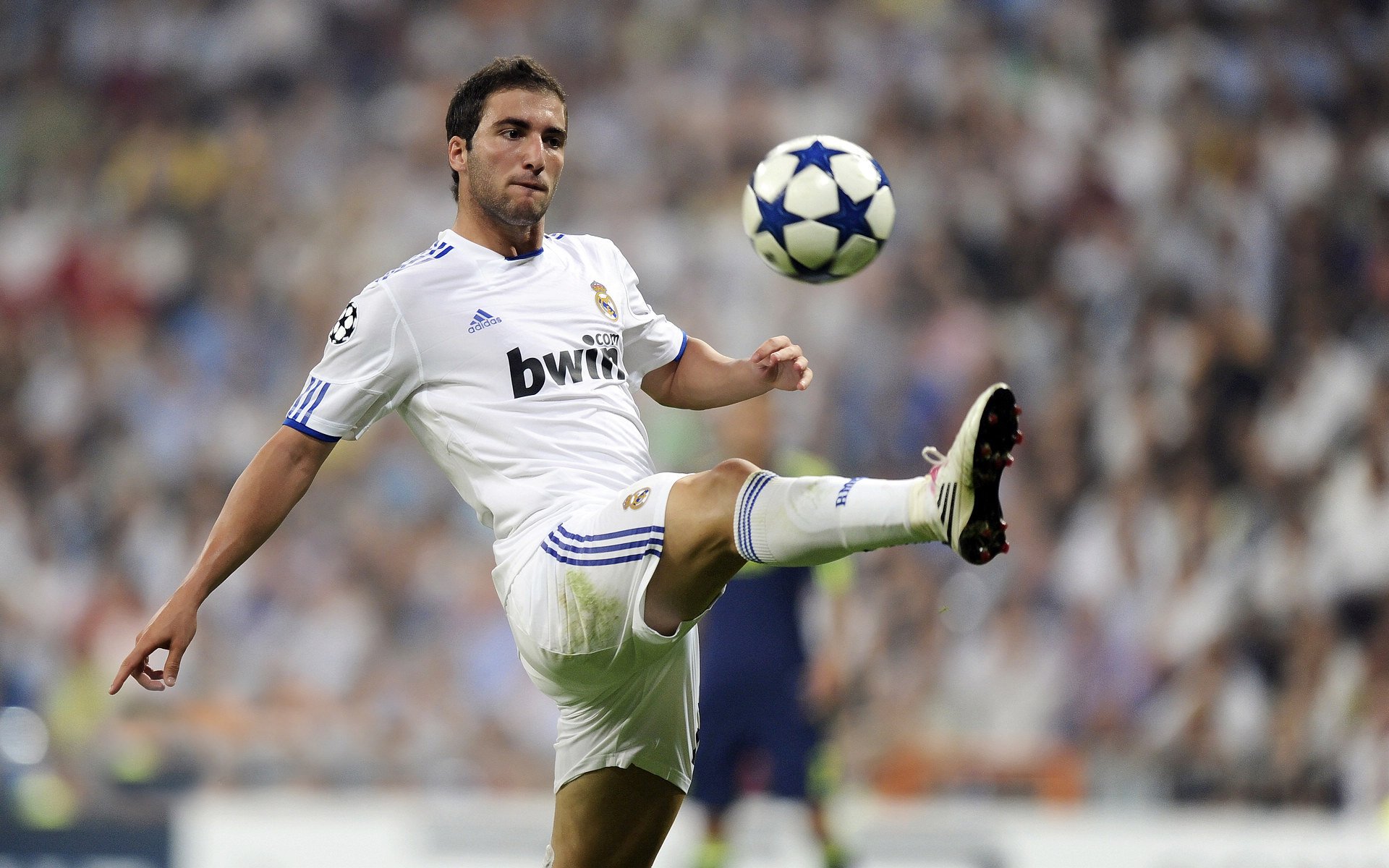 UFC选手赛中怒吼：我是王——燃爆赛场的那一刻