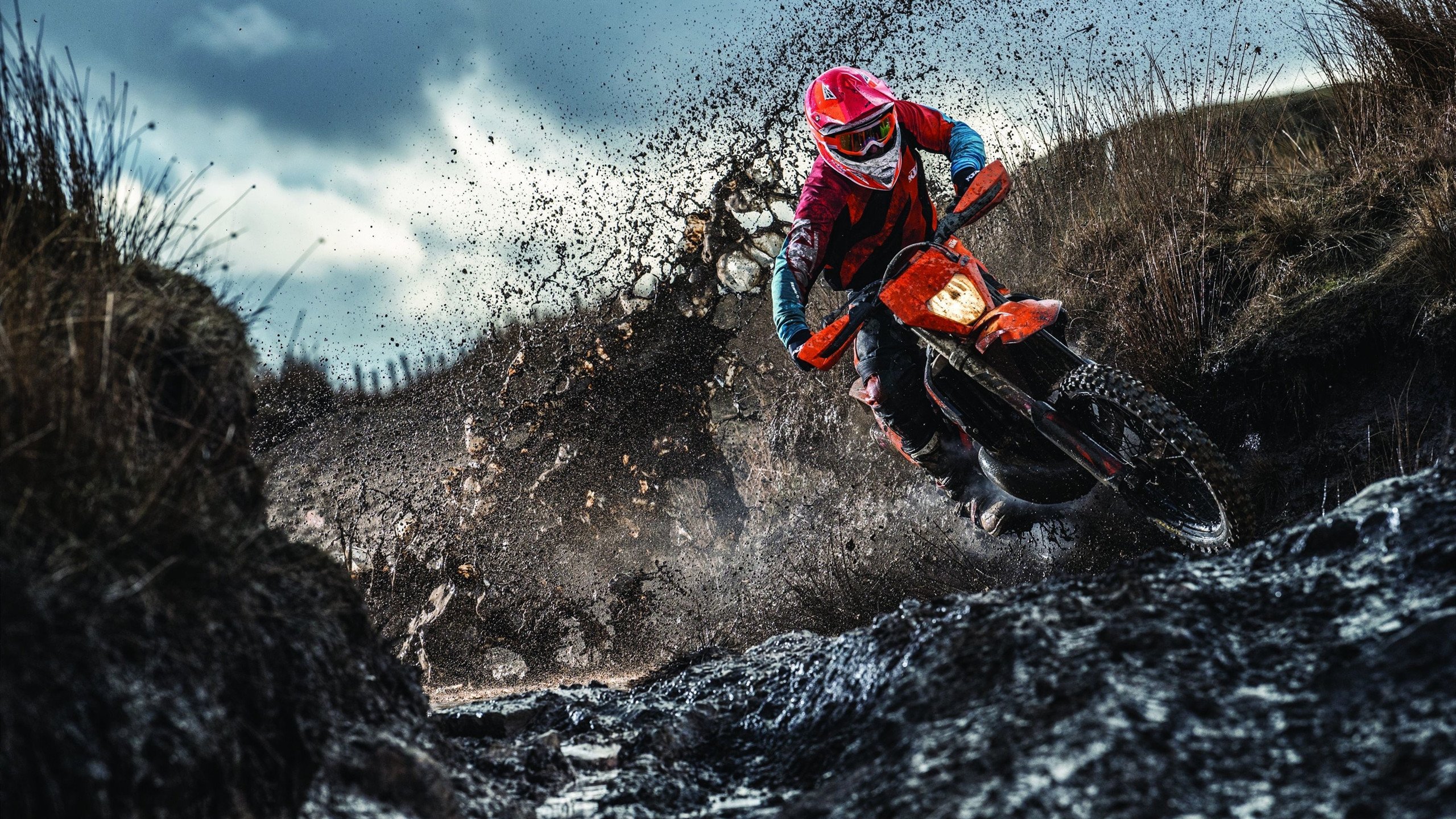 体育场改造完成，粉丝体验史无前例